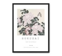 Cuadro peony and butterfly