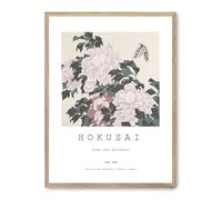 Cuadro peony and butterfly_FASE5