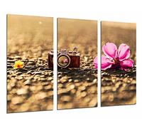 Cuadros Camara Tableau Moderne Photographique, Impression sur Bois, Appareil Photo Vintage, Fleur Romantique, 97 x 62 cm, ref. 26615