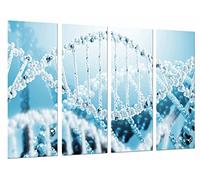 Cuadros Camara Tableau Moderne Photographique, Impression sur bois, Biologie, Science, Chromosome, ADN Chaîne blanche bleue, 131 x 62 cm, ref. 27033