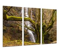 Cuadros Camara Tableau Moderne Photographique, Impression sur Bois, Forêt, Arbre, Nature, 97 x 62 cm, ref. 26252