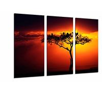 Cuadros Camara Tableau Moderne Photographique, Impression sur Bois, Nature, Arbre Africain, Coucher de Soleil, 97 x 62 cm, ref. 26585