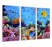 Cuadros Camara Tableau Moderne Photographique, Impression sur Bois, Paysage sous la mer, Poissons d'aquarium, 97 x 62 cm, ref. 26418