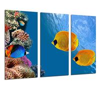 Cuadros Camara Tableau Moderne Photographique, Impression sur bois, Paysage sous la mer, poissons d'aquarium, 97 x 62 cm, ref. 26429