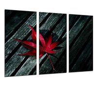 Cuadros Camara Tableau Moderne Photographique, Impression sur Bois, Photo de Feuille de Cannabis Rouge, 97 x 62 cm, ref. 26523