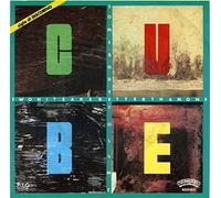 Cube (2) - Two Heads Are Better Than One