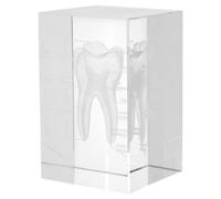 Cube Anatomique en Verre Cristal Gravure 3d de Dent Humaine | Décoration Transparente, Reflets Nets et Stabilité sur Bureau, pour Cabinet, Étudiants en Dentaire