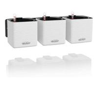 Lechuza - Pot de Fleurs d'Interieur - Green Wall Home Kit Color - Réserve d'Eau Intégrée - Coloris Blanc - 48 x 6 x 14 cm