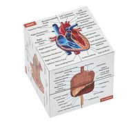 Cube d'étude Anatomique Humaine en Anglais | Étudiez 9 Parties du Corps Humain | Guide de révision Anatomique Parfait pour infirmière, étudiants en médecine