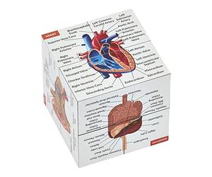 Cube d'étude Anatomique Humaine en Anglais | Étudiez 9 Parties du Corps Humain | Guide de révision Anatomique Parfait pour infirmière, étudiants en médecine
