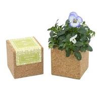 Cube en liège aimanté avec fleur Pensée à germer bio Beige G