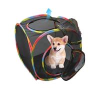 Cube pour Tunnel à Chat,Tente d'Enclos pour Chat avec Tunnel | Maison Animaux à Ouverture Rapide Grillage Respirant Griffoir Repos Lapin Chiot Chaton