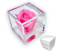 Cube rose stabilisé rouge parfumé - Le Cube avec une véritable rose qui dure plus de 5 ans 5cm rose