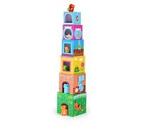 Cubes A Empiler Animaux Domestiques