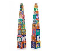 Cubes Premier âge Animaux sauvages