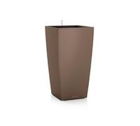 Cubico Color 30 - kit complet, muscade 4 L 56 cm