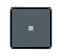 cubyko BP 1O/1F lum. ass. gris HAGER WNA021