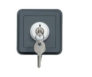 cubyko Int. clé 2 p. ass. gris HAGER WNA035