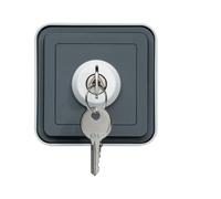 cubyko Interrupteur a cle 2 positions saillie gris IP55 - HAGER WNC035