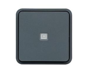 cubyko VV témoin assoc. gris HAGER WNA003