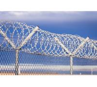 CucCe Clôture en fil barbelé Clôture grillagée anti-escalade, bobine de grillage spiralé en acier inoxydable (30 m)