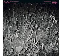 Cucina Povera & Els - The Oystercatcher Cucina Povera & Els Lp