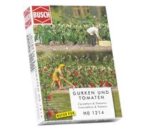 Cucumber & Tomato Plants