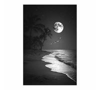 CUDAOO De Mode Vintage Affiche Noir Murale Lune au-dessus de la marée nocturne Tableaux Pour Salon Moderne le salon Bureau du corridor Decoration à La Maison(Noir et blanc)-40x60cm Sans cadre