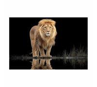 CUDAOO Impression sur Toile Lion Abstrait Ombre de Lions pour la maison, le salon, la chambre à coucher(marron181)-70x100cm Sans cadre