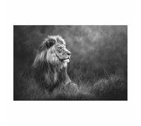 CUDAOO Lion peinture murale sur toile Ombre de lions pour Le Bureau à Domicile Décoration Moderne(gris63)-60x90cm Sans cadre