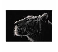 CUDAOO Tableau sur Toile Tigre Murale Art Tigre à ombre d'encre Peinture Imprimée en HD Salon Chambre Bureau(noir103)-60x90cm Sans cadre