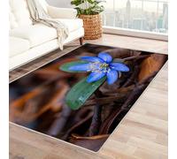 CUDAOO Tapis de Salon Imprimé Coloré Fleur d'étoile Bleue Tapis de Salon, Chambre Adulte Salle à Manger Bureau(Bleu)-150x180cm