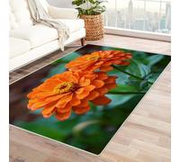 CUDAOO Tapis de Salon Imprimé Coloré Les Cent Jours d'orange pour Salon, Chambre, Bureau(Rouge)-240x300cm