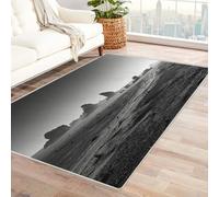 CUDAOO Tapis de Salon Imprimé Coloré Pierre du désert aride pour Salon, Chambre, Bureau(Noir et Blanc)-180x270cm