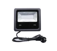 CUDTAPI Projecteurs LED UV LED Floodlight 10W 20W 30W 50W Ultraviolet Light 395nm Lamps Fluorescent Bulb Black Light Halloween Party Prom(50w)