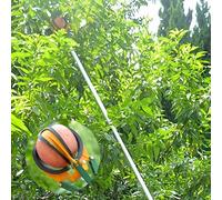 Cueille Fruit Telescopique Réglable, Ramasse Fruit pour Les Pommes, Oranges, Avocats, Glands, Citrons, Poires et Mangues