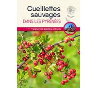 Collectif – Cueillettes sauvages dans les Pyrénées – 60 plantes et fruits à glaner – Broché