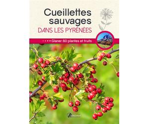 Cueillettes sauvages dans les Pyrénées Glaner 60 plantes et fruits - Collectif - Artemis Eds - broché - Guide
