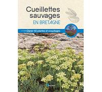 Cueillettes sauvages en Bretagne