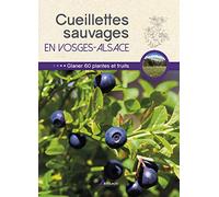 Cueillettes sauvages en Vosges-Alsace