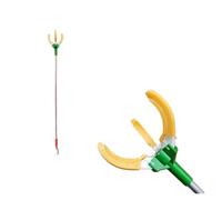 Cueilleur d'artefacts de cueillette Fruits à Haute Altitude, Produit Trois Griffes, Compatible avec Les kakis, pêches, poires, 1.2m