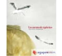 Cuento De Cigue¥As, Un - Ventura, Antonio, Ruifernández, Leticia Ventura, Antonio, Ruifernández, Leticia (Auteur)
