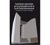 Cuestiones Esenciales En La Jurisprudencia De La Corte Penal Internacional Kai Ambos, Montserrat de Hoyos Sancho (Auteur)