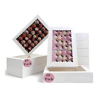 CUESVAP Lot de 10 boîtes à biscuits de 30,4 x 20,3 x 6,5 cm - Avec fenêtre transparente - Pour cupcakes, muffins et gâteaux - Pour pâtisserie, cadeaux et pâtisseries amateurs