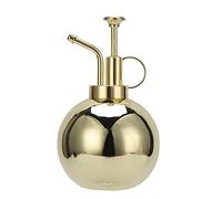 CUFAEE 500ml 304 Rociador de plantas de Acero inoxidable, Botella de Spray herramientas de jardinería modernas, pequeña lata de riego Para plantas en macetas cubiertas