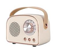 Cuifati Haut-Parleur Bluetooth Rétro, Décor de Style Classique à L'ancienne, Support TWS, BT5.0, Haut-Parleur Stéréo sans Fil HiFi à Volume Fort, Basses Fortes, Grande Batterie, Charge