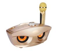Cuifati Machine de Karaoké, Système de Haut-parleurs Amplificateur PA Portable avec 2 Microphones sans Fil, Haut-Parleur KTV pour la Maison, la Réunion, Le Mariage(Or)