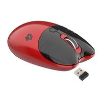 Cuifati Souris sans Fil BT5.1 2,4 GHz Double Mode Portable en Forme de Chat Mignon, Clic Silencieux, DPI Réglable, Mode Veille Automatique, Souris Portable pour Fille, école, Bureau