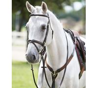 Cuirasse anglaise en forme de Y avec élastique et martingale Tattini