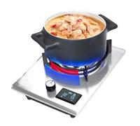 Cuiseur À Gaz Propane 1 Brûleur, Cuisinière À Gaz En Acier Inoxydable, Cuisinière De Table De Cuisinière À Gaz À Un Brûleur, Chronomètre À Neuf Cavité, Avec Protection Contre La Flamme(NG)